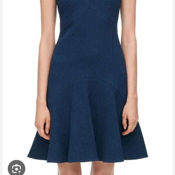 Rebecca Taylor Dresses & Skirts - Rebecca Taylor Size Large Textured Chevorn V Neck Dress Mermaid Skirt $398 MSRP